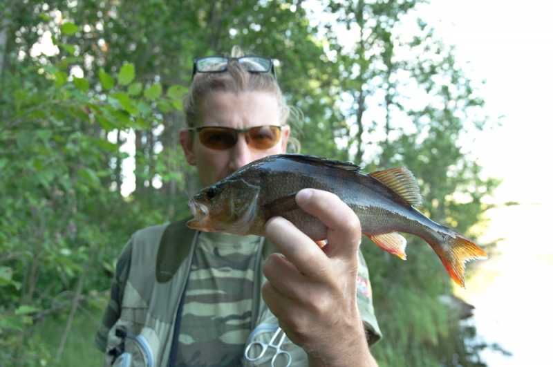 wędkarstwo w norwegii